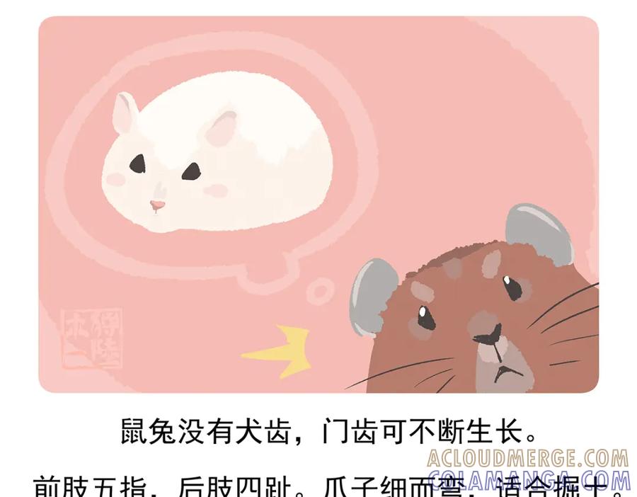 《胖达x胖达》第91话 第23页