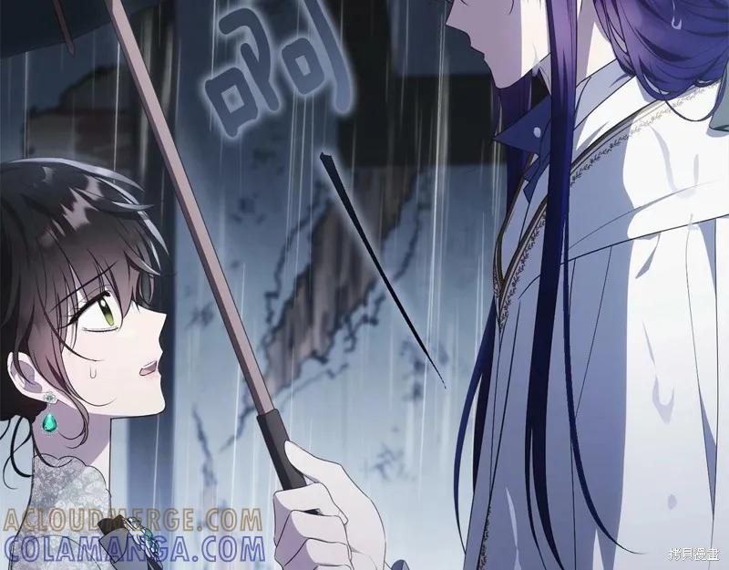 《明明是冷美人小姐却变成了忠犬大少爷》第95话 第17页