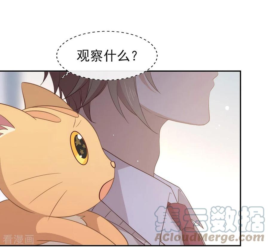 我与玛丽苏女主抢男友 098 观察，再观察一下 第31页