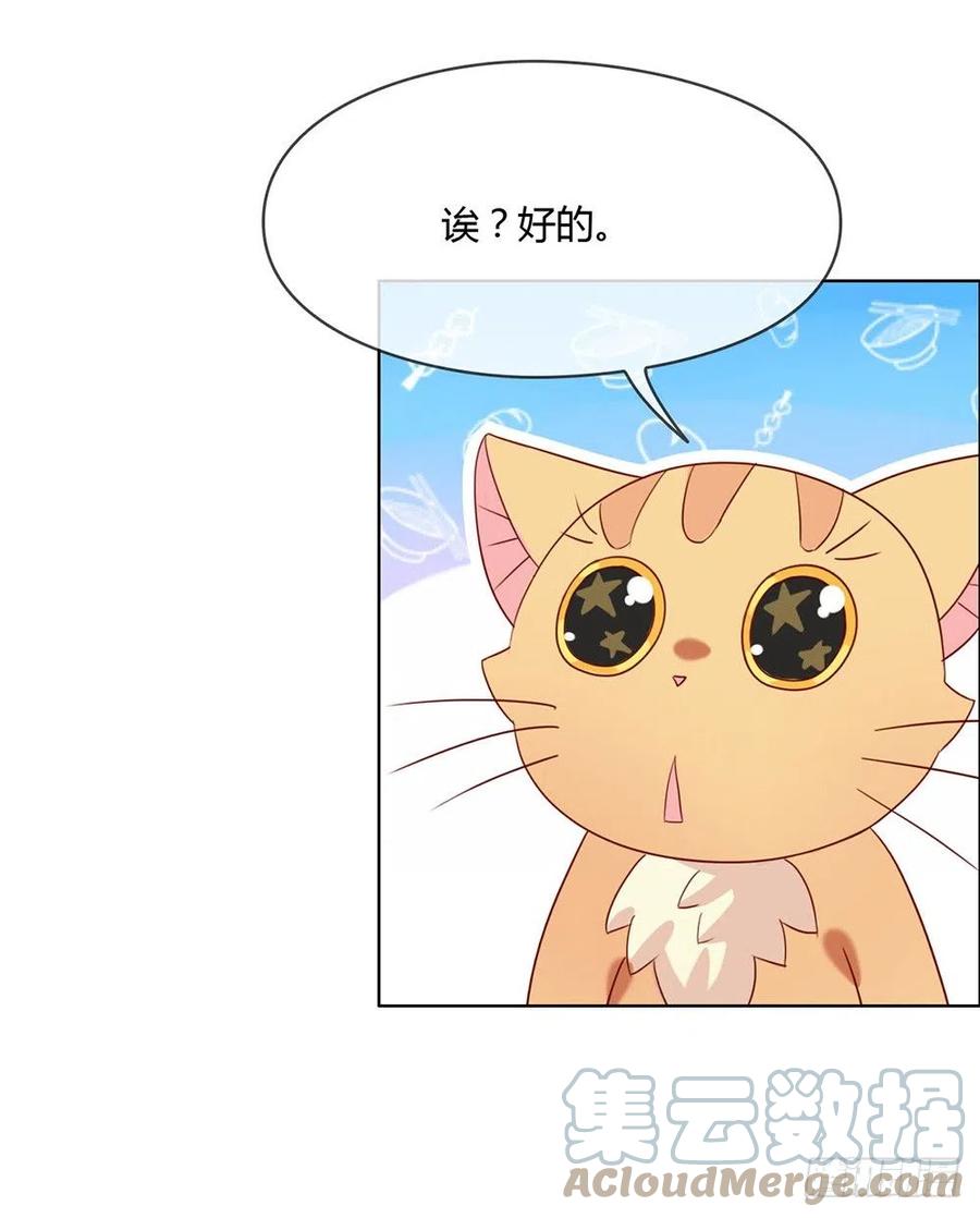 我与玛丽苏女主抢男友 010 这个世界有猫饼 第27页