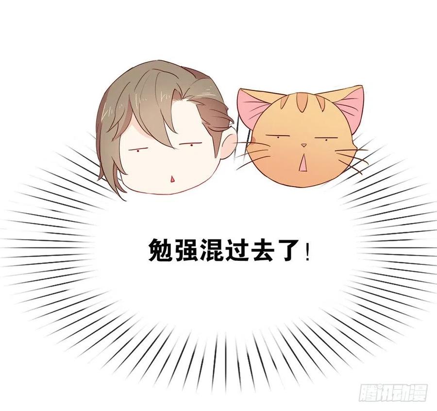 我与玛丽苏女主抢男友 010 这个世界有猫饼 第8页