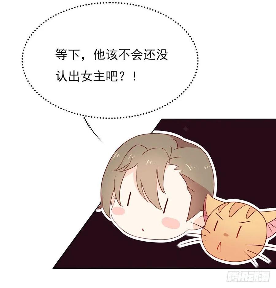我与玛丽苏女主抢男友 010 这个世界有猫饼 第12页