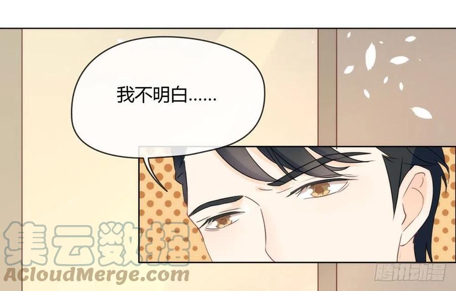 我与玛丽苏女主抢男友 015 他是秦夜本秦 第41页