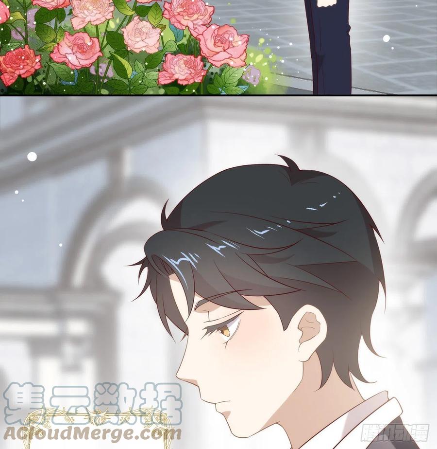 我与玛丽苏女主抢男友 番外06 高乔番外 第40页