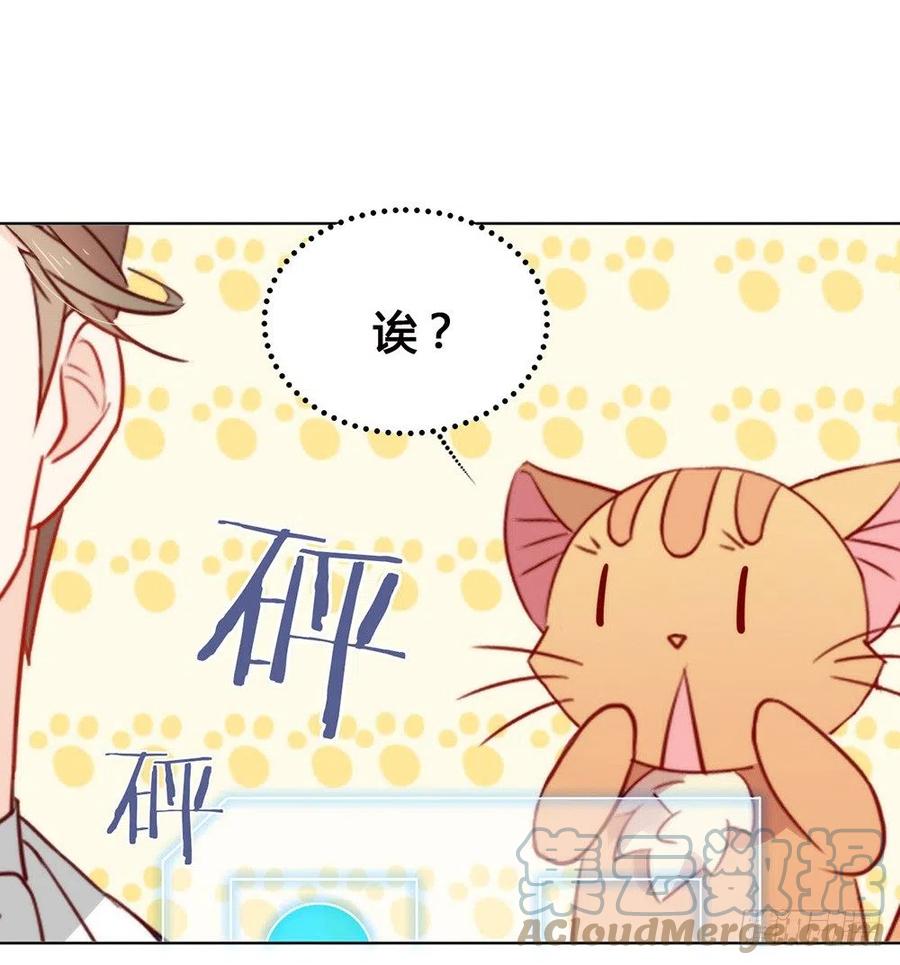 我与玛丽苏女主抢男友 021 不愧是TOP.1 第35页