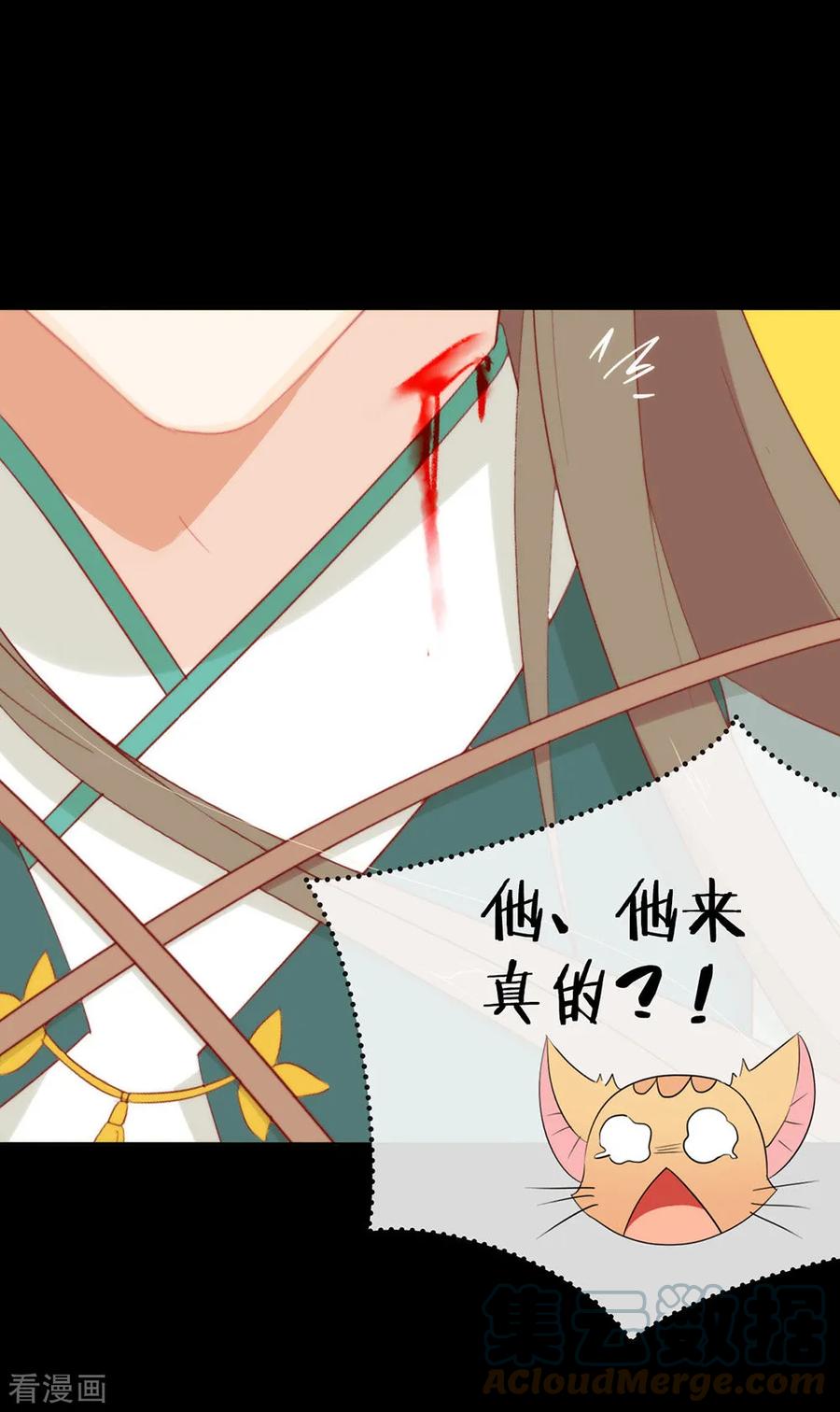 我与玛丽苏女主抢男友 039 皇兄竟然来真的？！ 第5页
