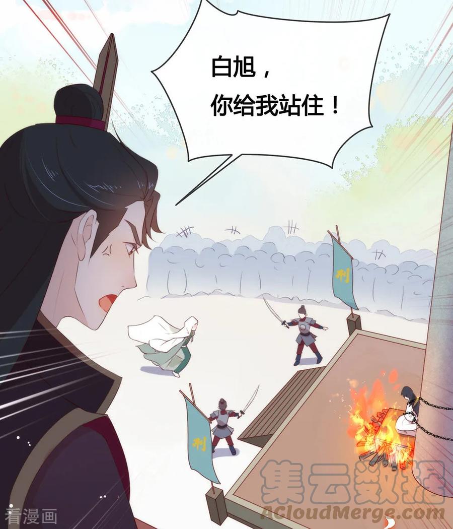 我与玛丽苏女主抢男友 050 我可是TOP.1 第4页