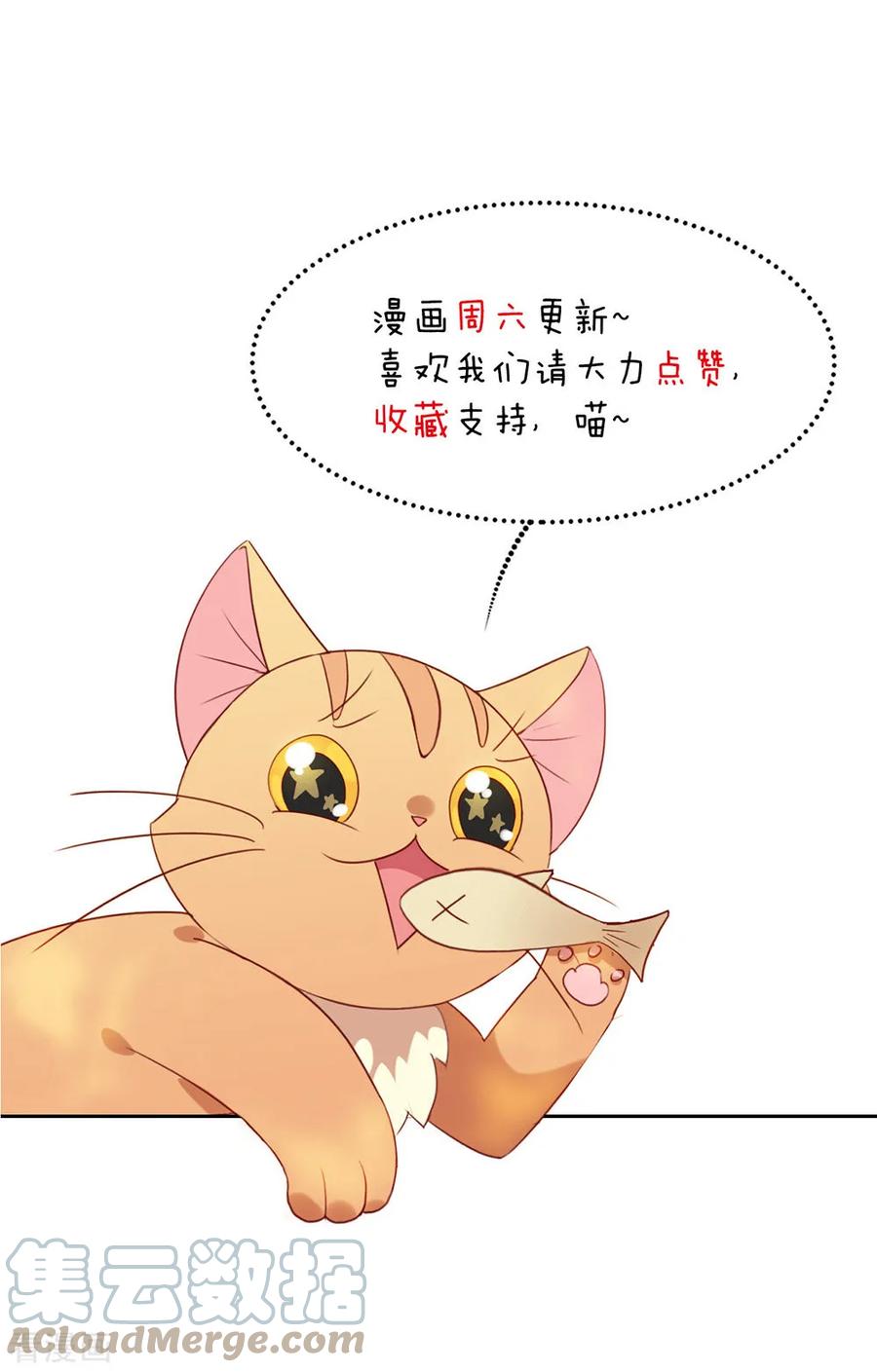 我与玛丽苏女主抢男友 054 反派男配的高光时刻 第41页
