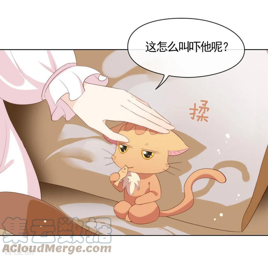 我与玛丽苏女主抢男友 060 被表白了？ 第33页
