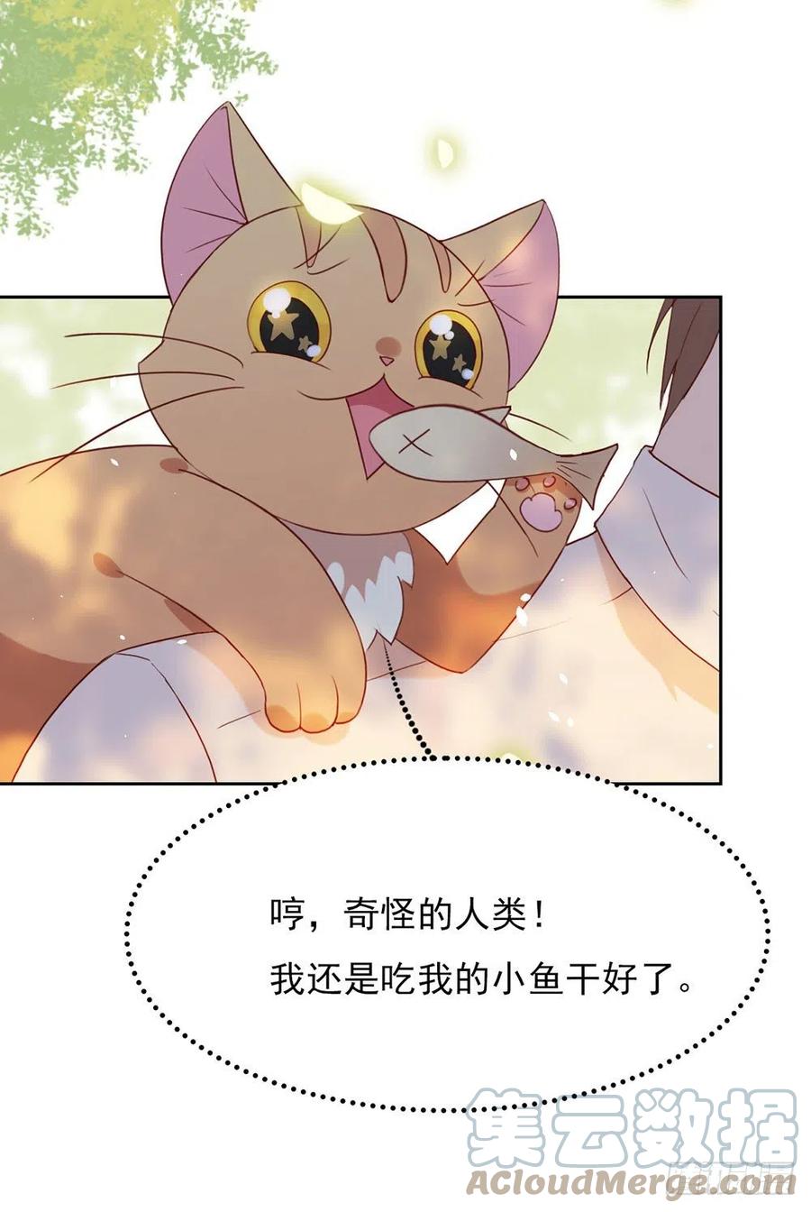 我与玛丽苏女主抢男友 005 退婚？故事就崩了！ 第7页