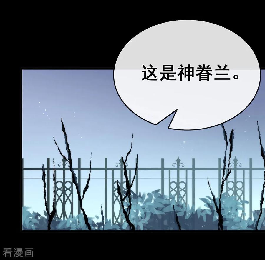 我与玛丽苏女主抢男友 072 真爱奇迹 第8页