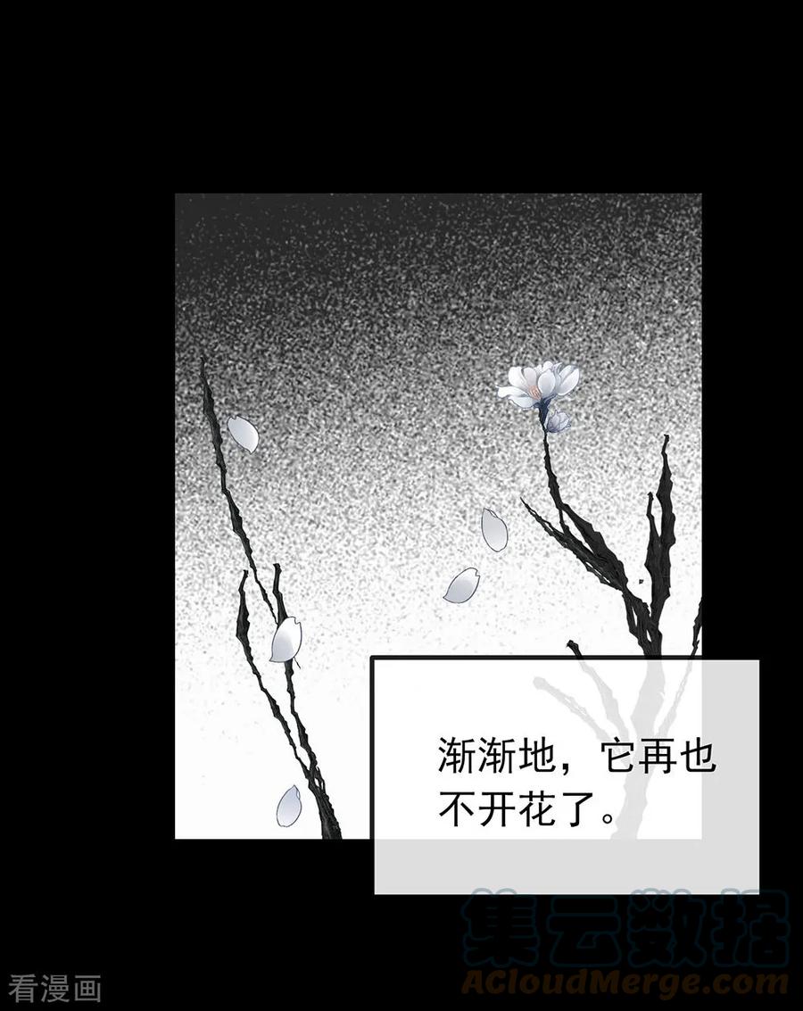 我与玛丽苏女主抢男友 072 真爱奇迹 第19页