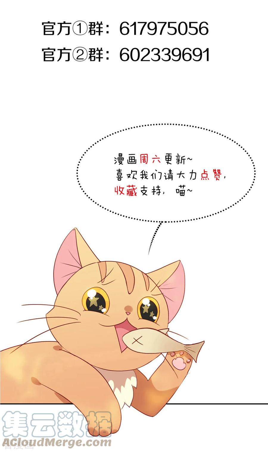 我与玛丽苏女主抢男友 079 要来恋爱吗？ 第41页