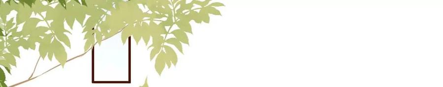 《女票芳龄30十》被他救了 第39页