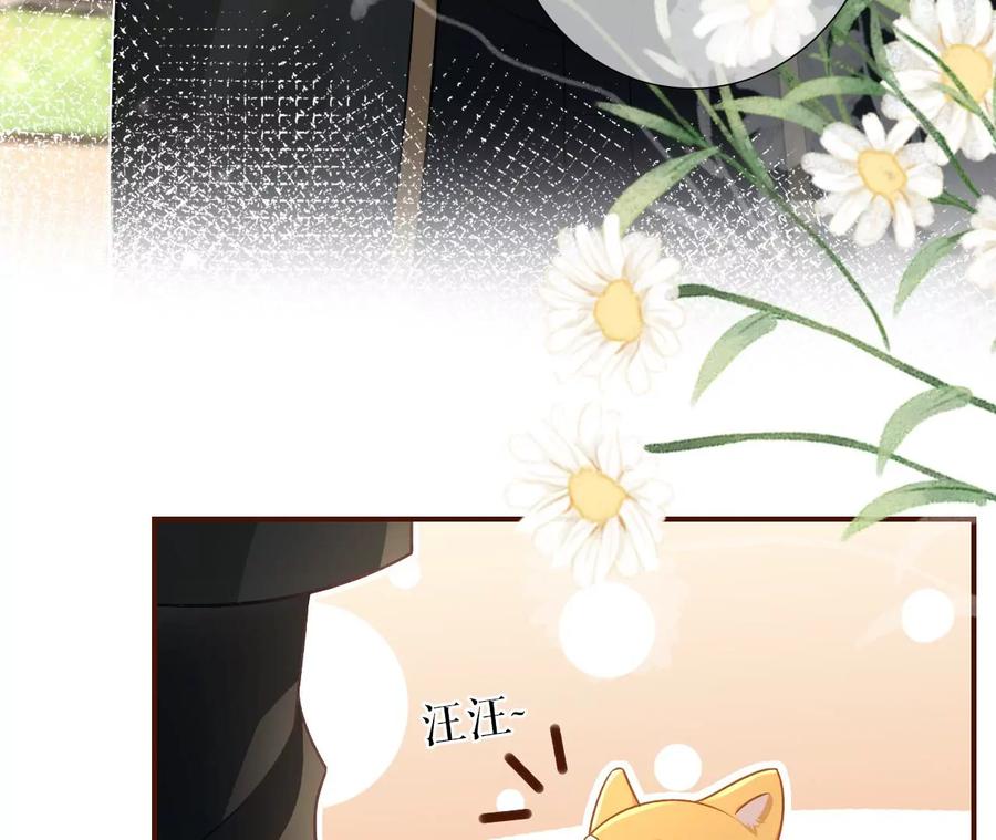 《女票芳龄30十》神秘的预约 第68页