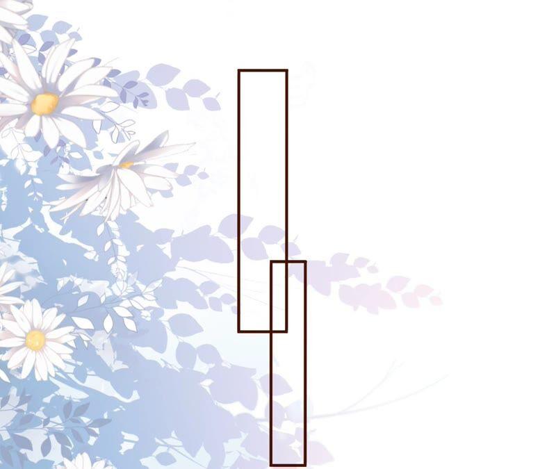 《女票芳龄30十》独一无二的玫瑰 第66页