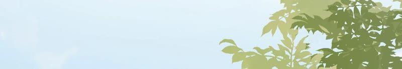 《女票芳龄30十》爱她的方式 第39页