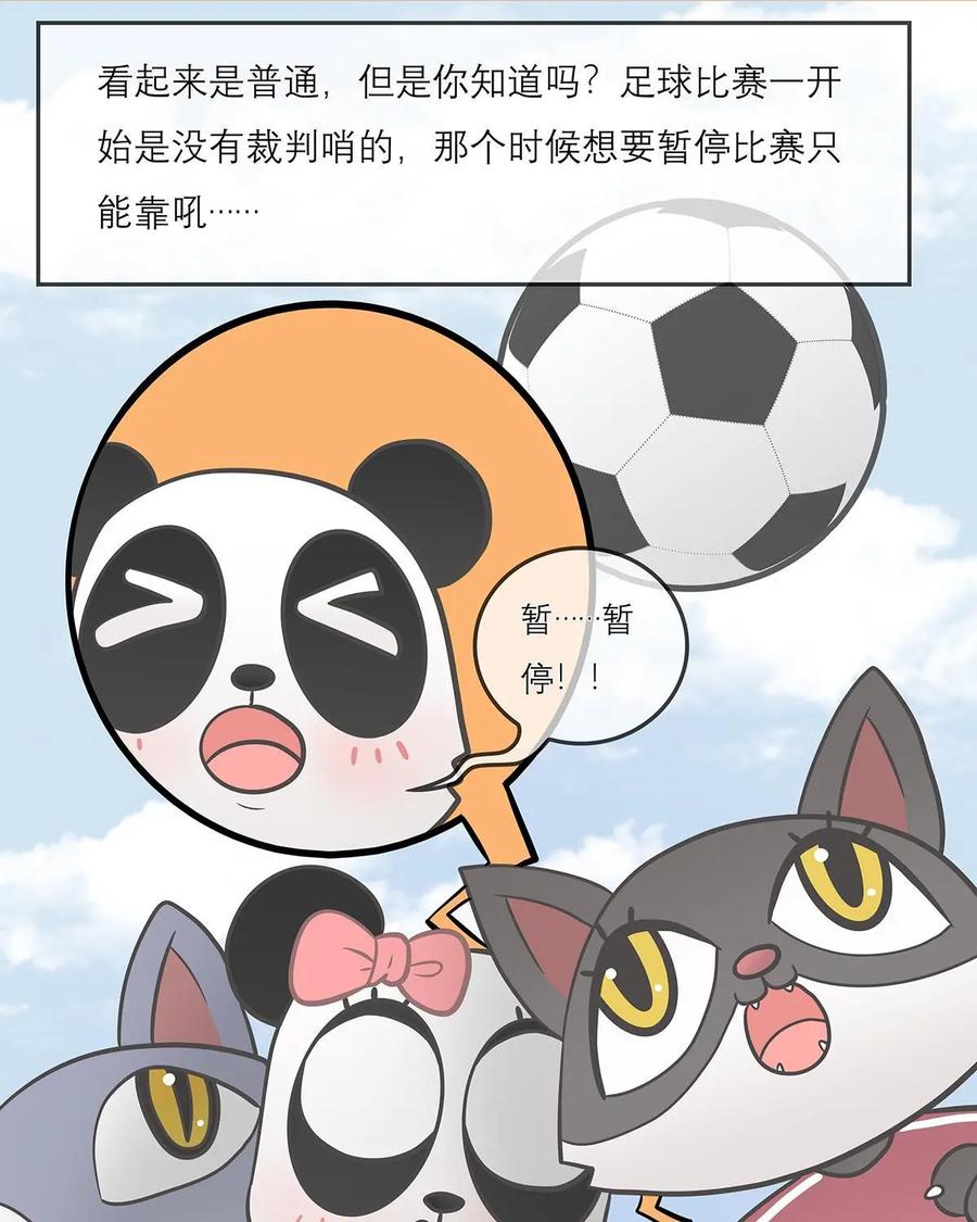 《足球说个Goal》第14话：球场大哥大之裁判装备大科普 第6页