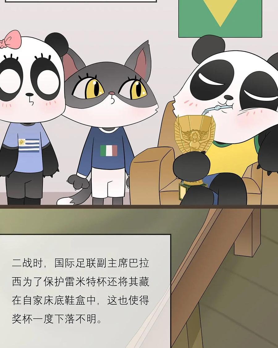 《足球说个Goal》第16话：世界杯到底有几个杯？ 第14页