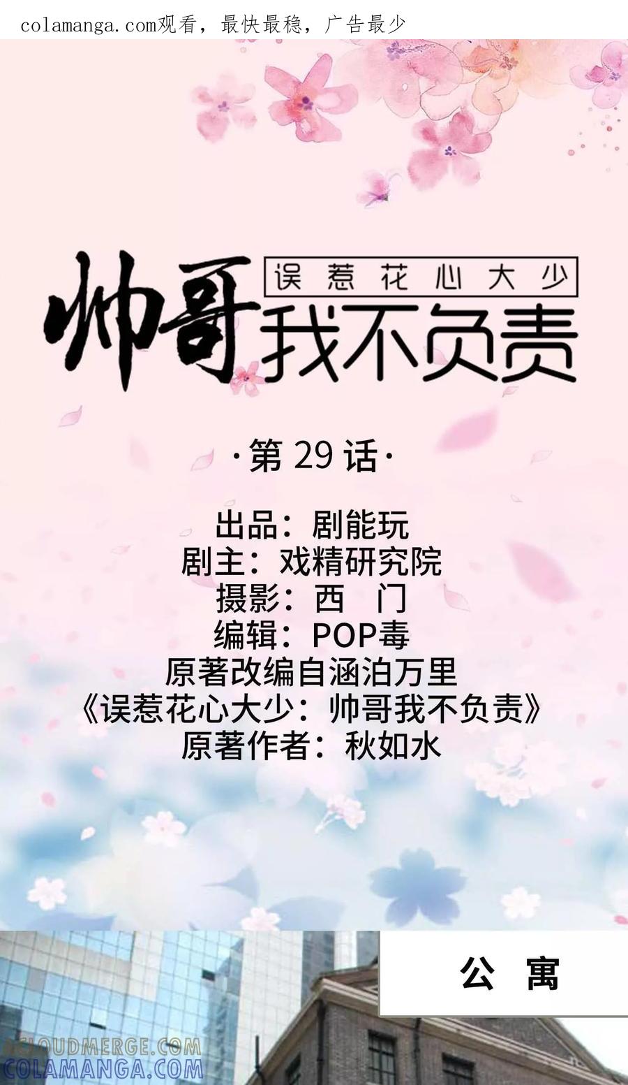 《误惹花心大少：帅哥我不负责》第29话 第1页