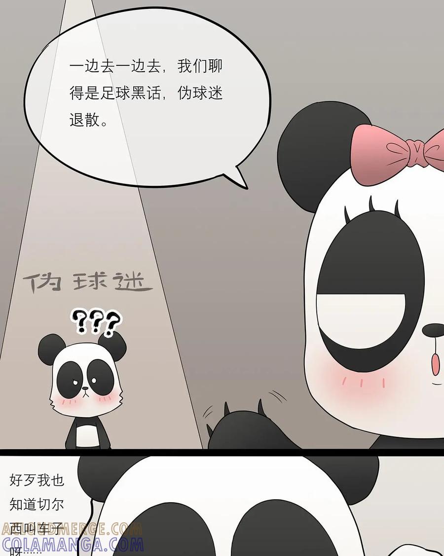 《足球说个Goal》第29话：伪球迷转职资深球迷入门——足球黑话（1） 第5页