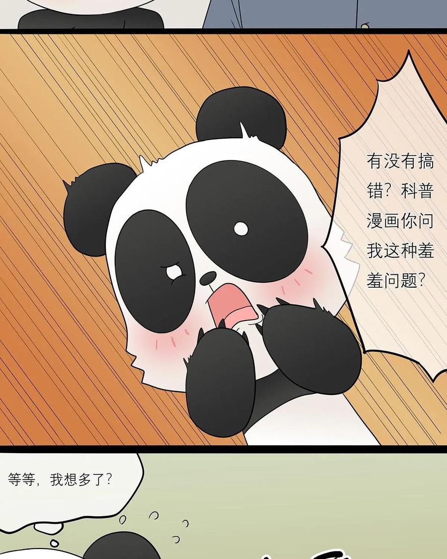 《足球说个Goal》第29话：伪球迷转职资深球迷入门——足球黑话（1） 第14页