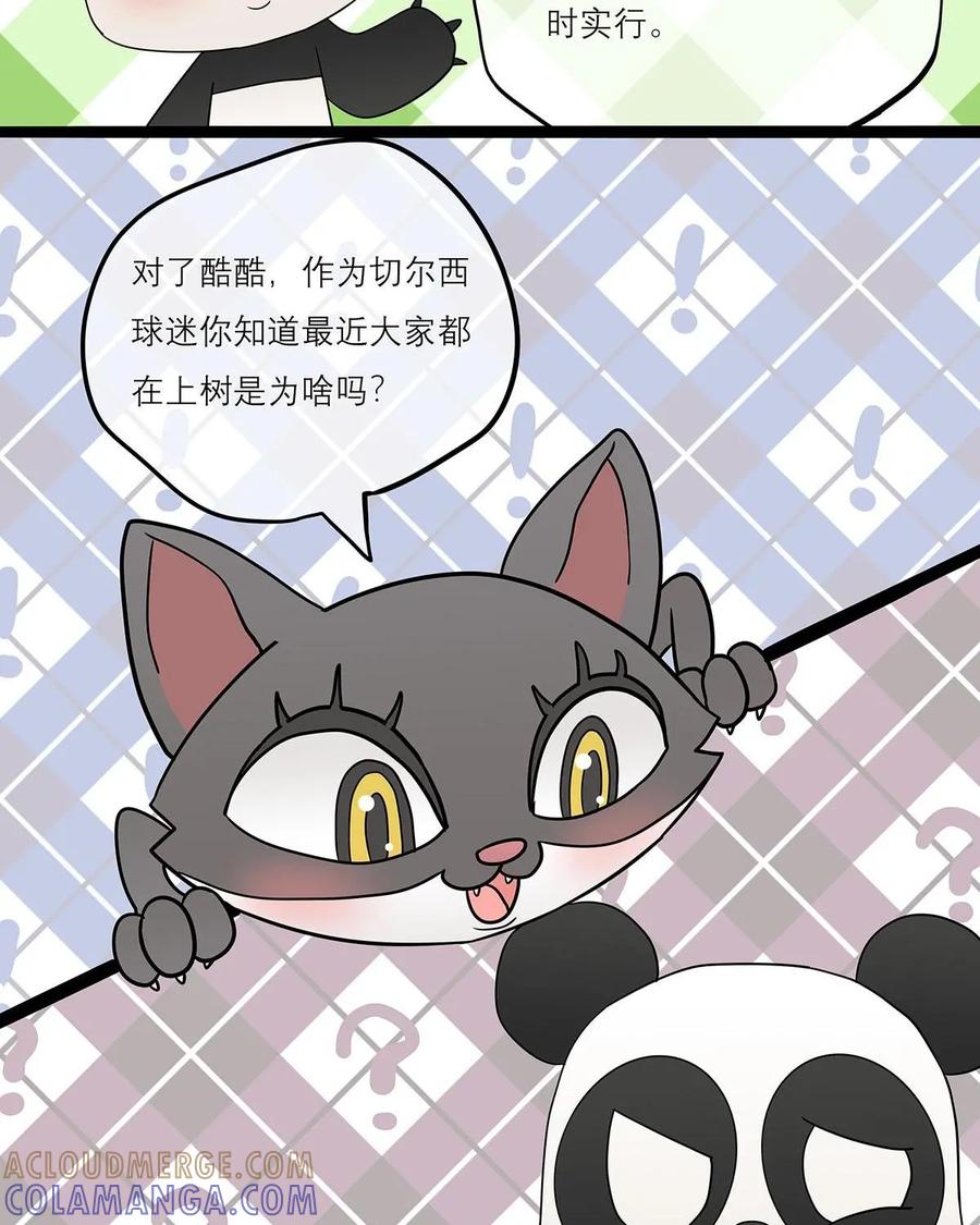 《足球说个Goal》第29话：伪球迷转职资深球迷入门——足球黑话（1） 第9页