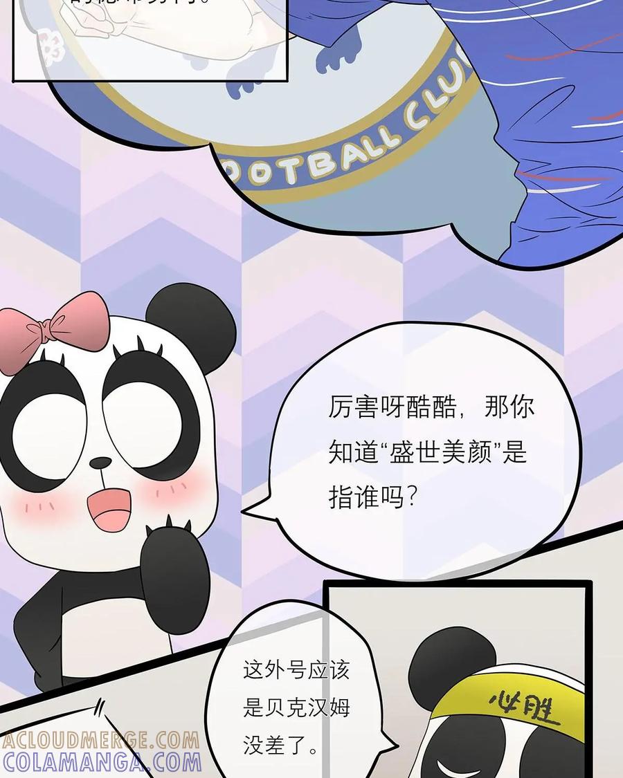 《足球说个Goal》第30话：足球黑话：伪球迷鉴别暗号(2) 第17页