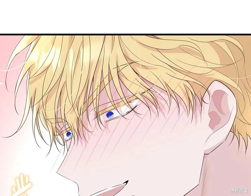 《明明是冷美人小姐却变成了忠犬大少爷》第73话 第83页