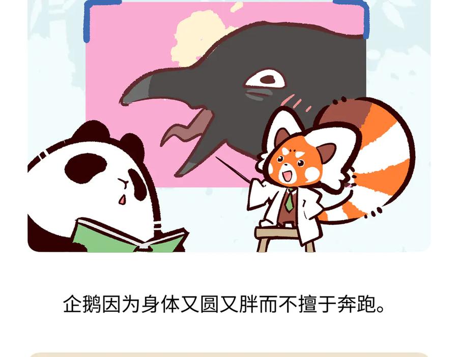 《胖达x胖达》第272话 第20页