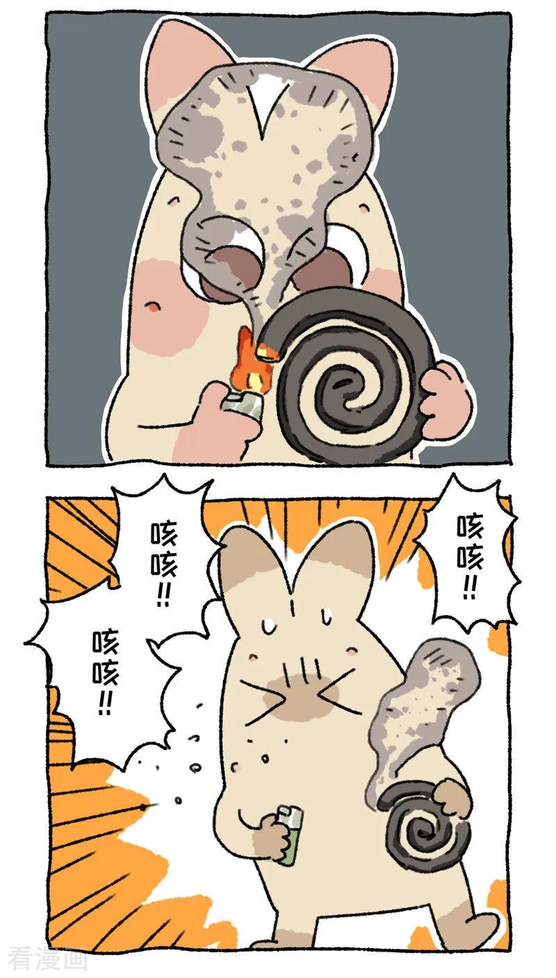 《不切传说》第70话 暗夜刺杀 第12页