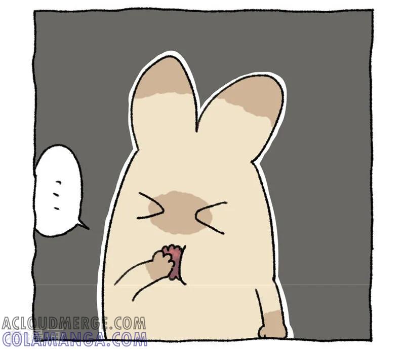 《不切传说》第89话 杨梅 第13页