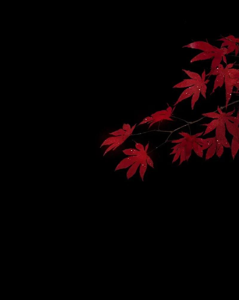 《我在皇宫当巨巨》144 怎么会不放心上 第11页