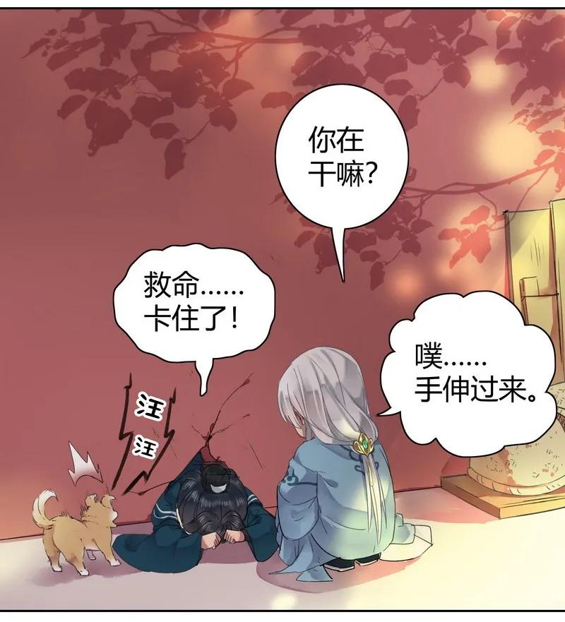 《我在皇宫当巨巨》041 这次倒是有长进 第11页