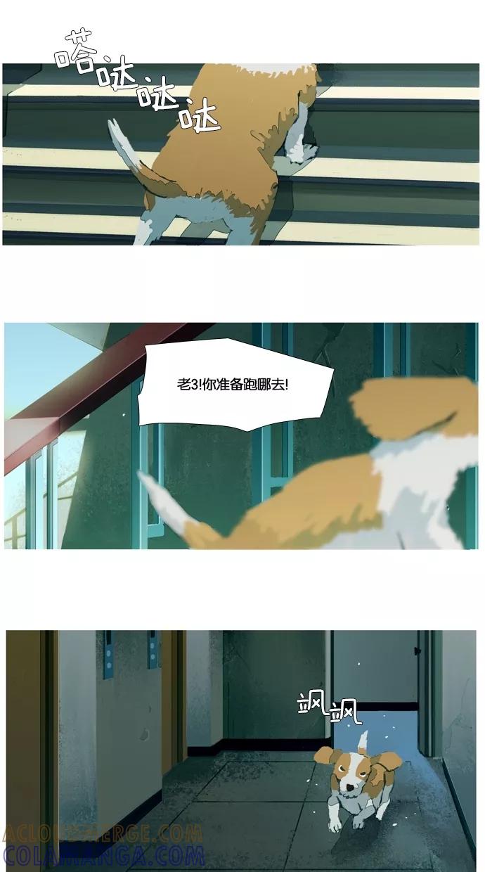 《微小的灾难》第24话 第11页