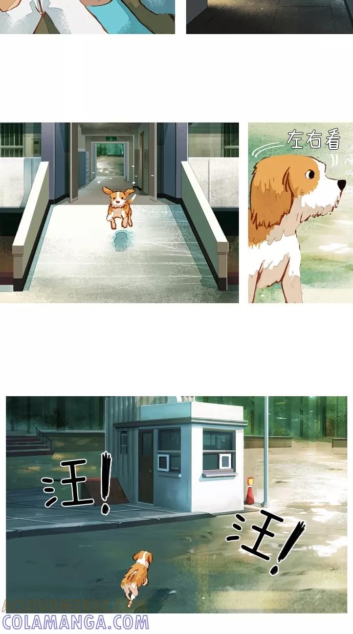 《微小的灾难》第37话 第19页