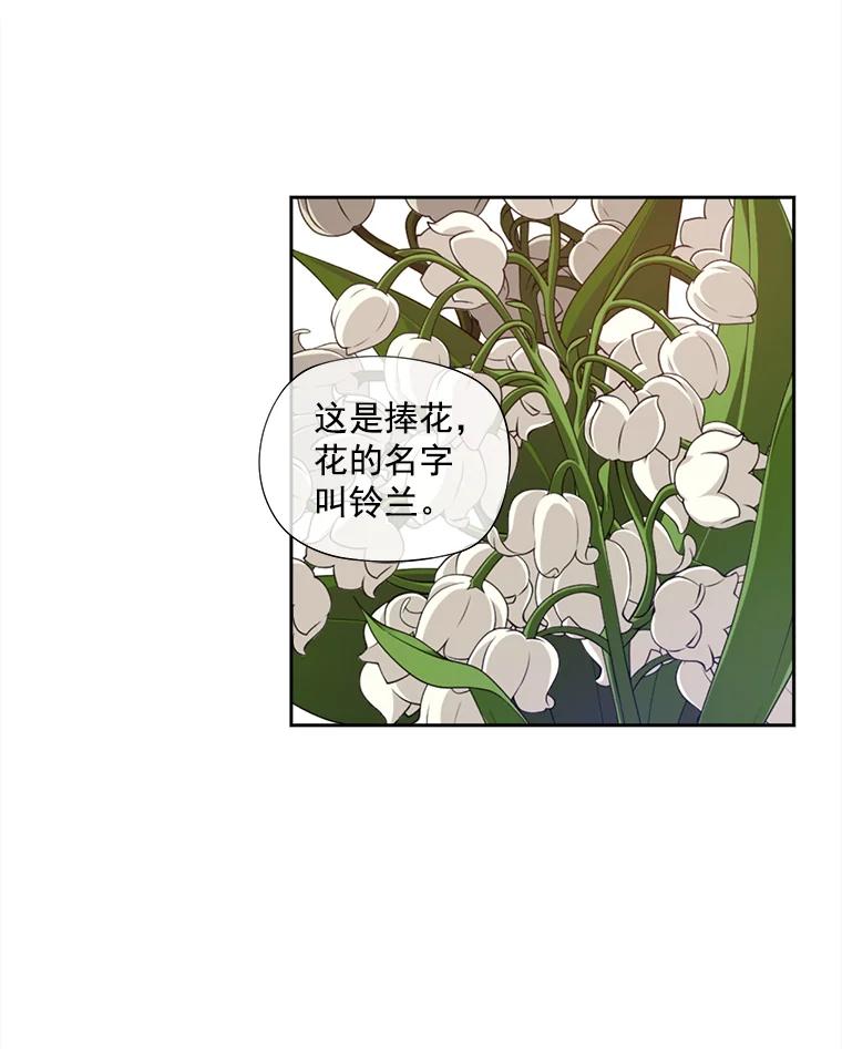 《我在婚礼当天死亡》1.伯爵千金之死 第51页