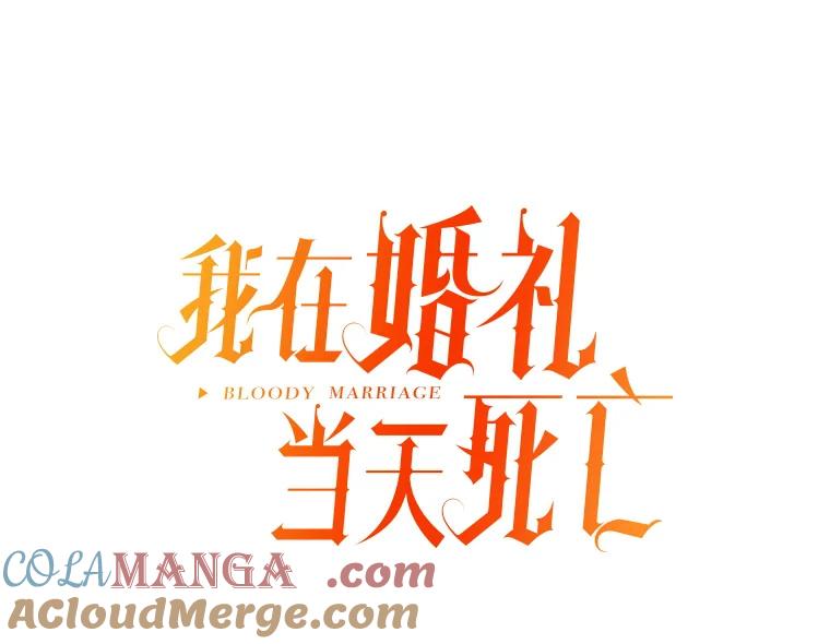 《我在婚礼当天死亡》11.取代 第10页