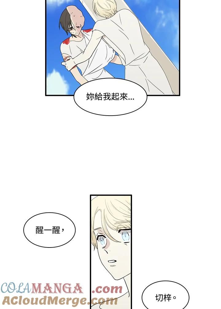 《梅蒂纳》第81话 第46页