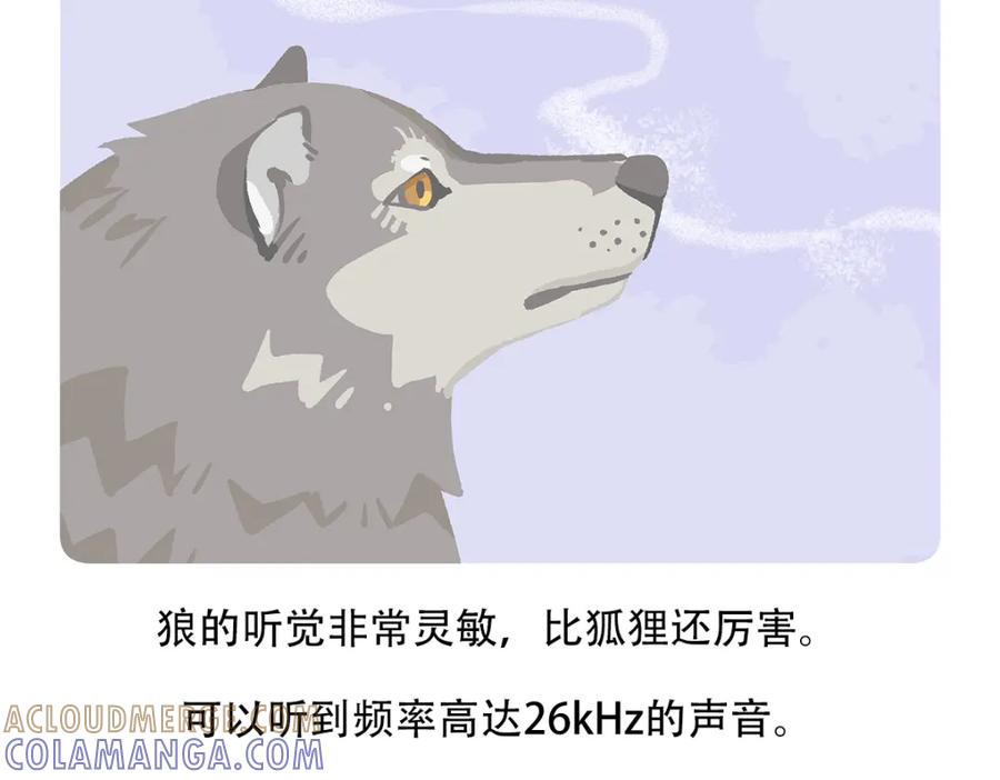 《胖达x胖达》第55话 第29页