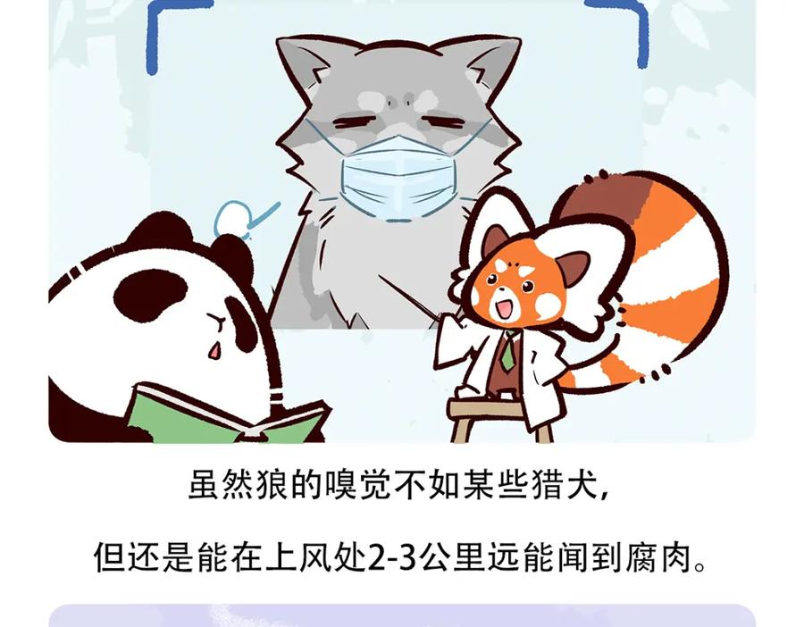 《胖达x胖达》第55话 第28页