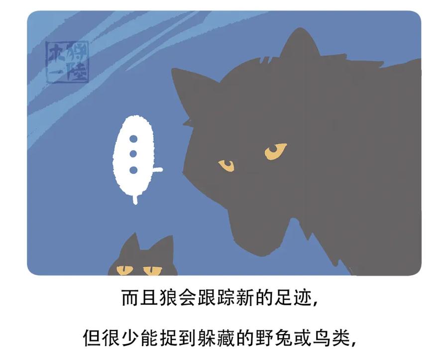 《胖达x胖达》第55话 第32页