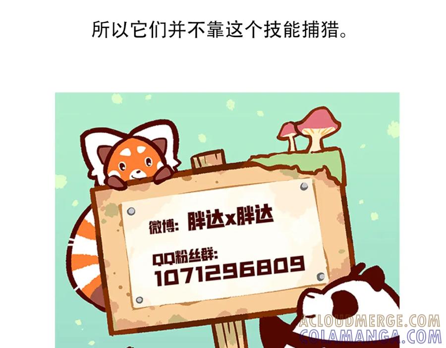 《胖达x胖达》第55话 第33页