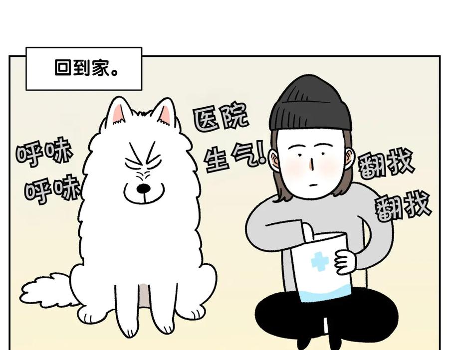 《我的狗子叫棉花》第52话 被传染猫癣 第36页