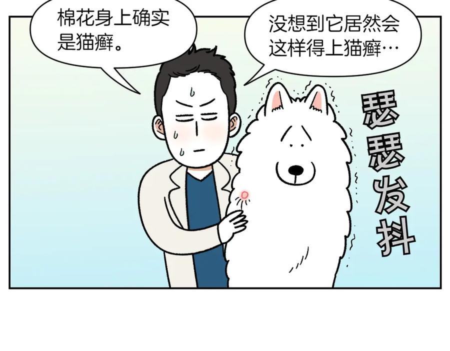 《我的狗子叫棉花》第52话 被传染猫癣 第33页