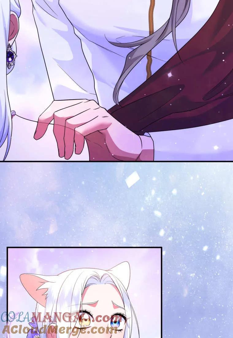 成为苏尔坦珍爱的猫咪 第71话 第64页
