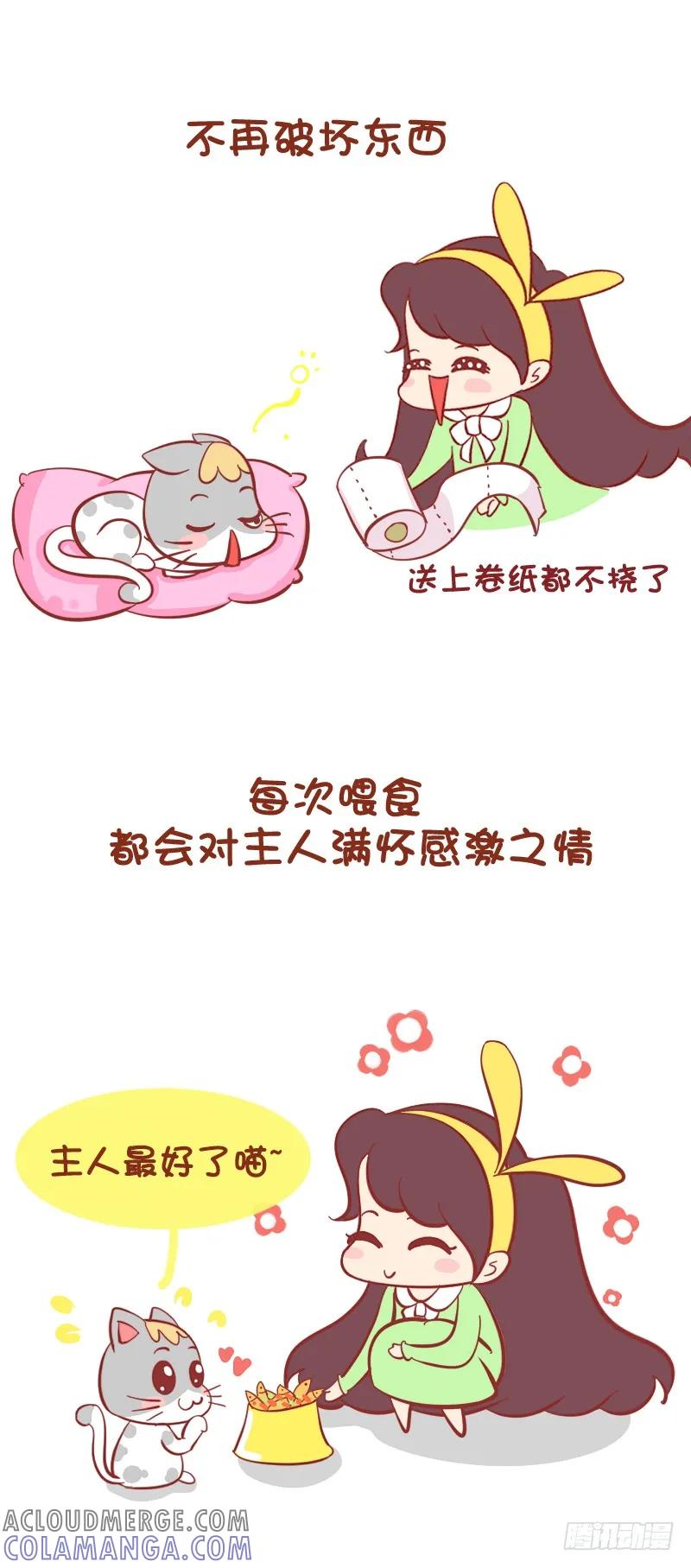 木木子漫画 我家喵星人终于调教好了~ 第2页