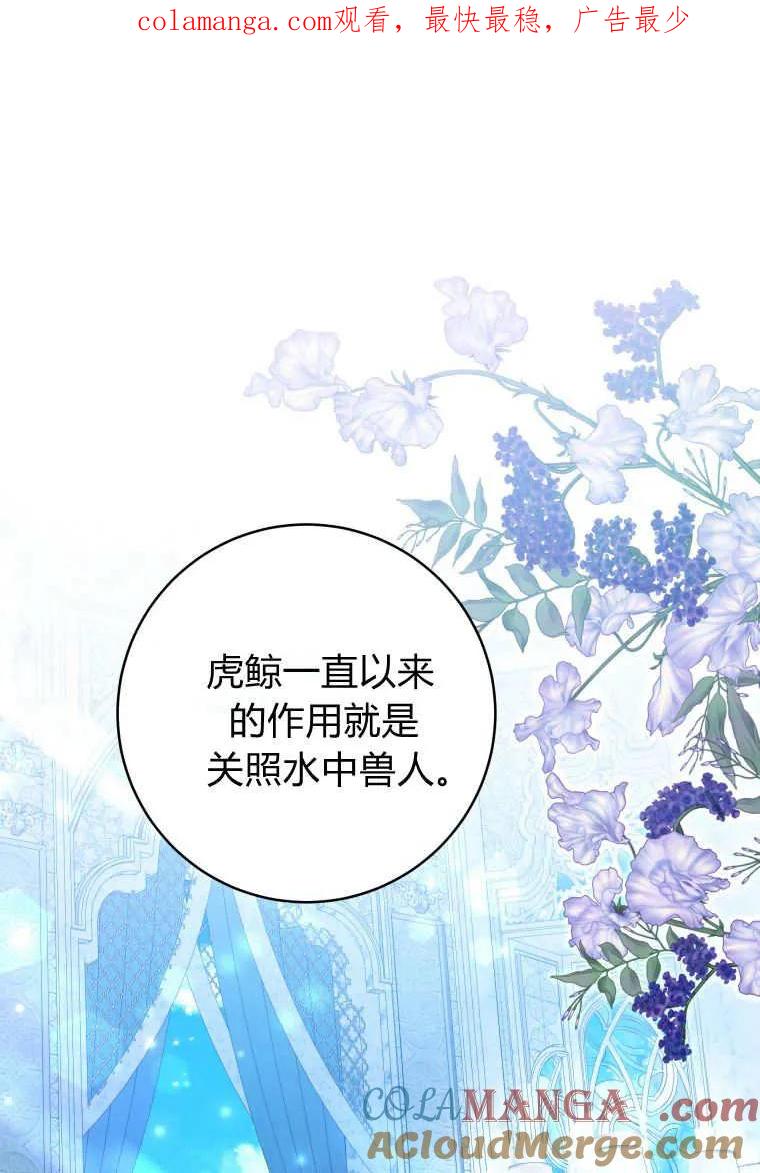 黑幕虎鲸宝宝 第24话 第1页