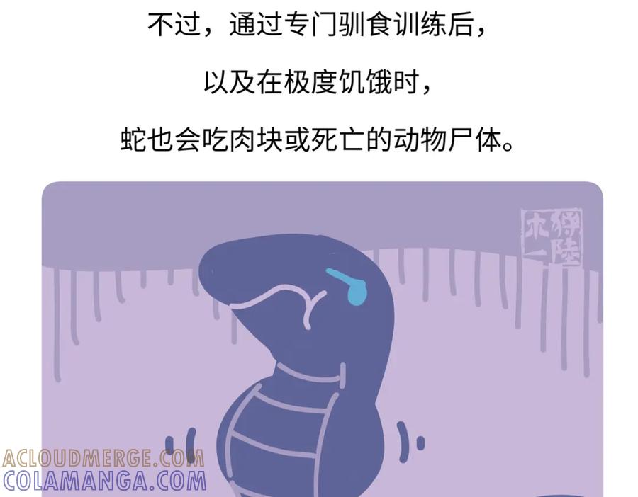 《胖达x胖达》第253话 第29页