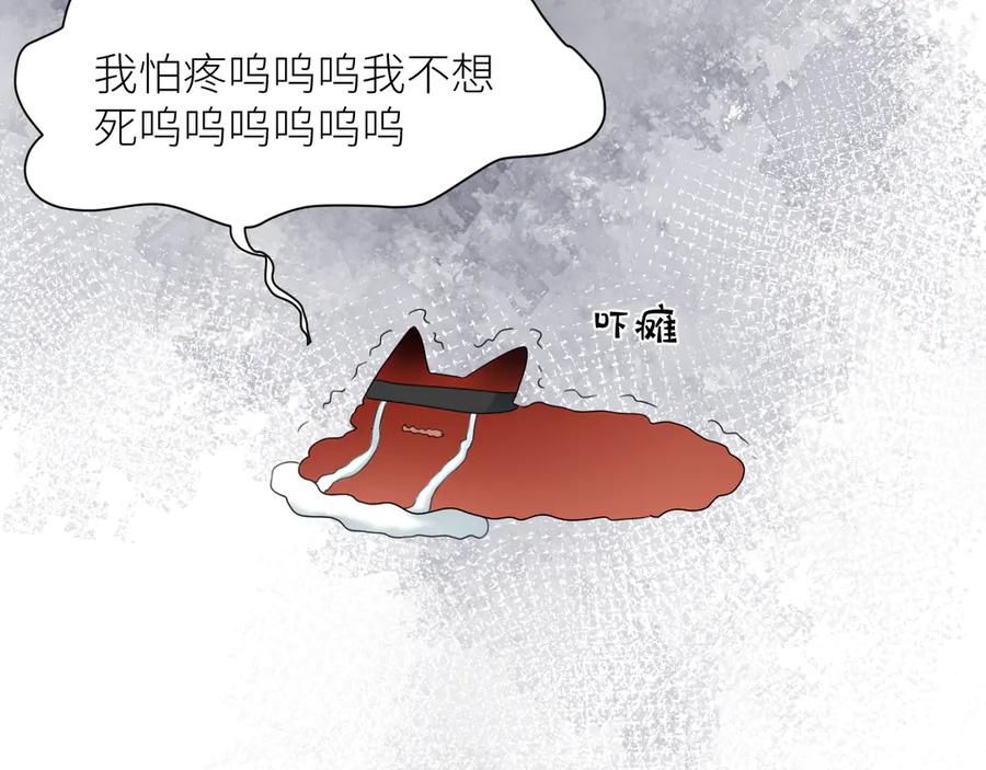 66.jpg